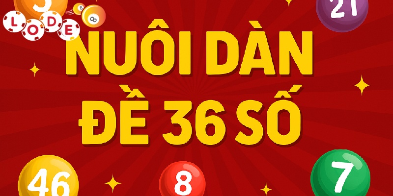 Bí Quyết Nuôi Dàn Đề 36 Số Hiệu Quả Tại Lode88 Của Cao Thủ 2 Kinh nghiệm nuôi dàn đề 36 số